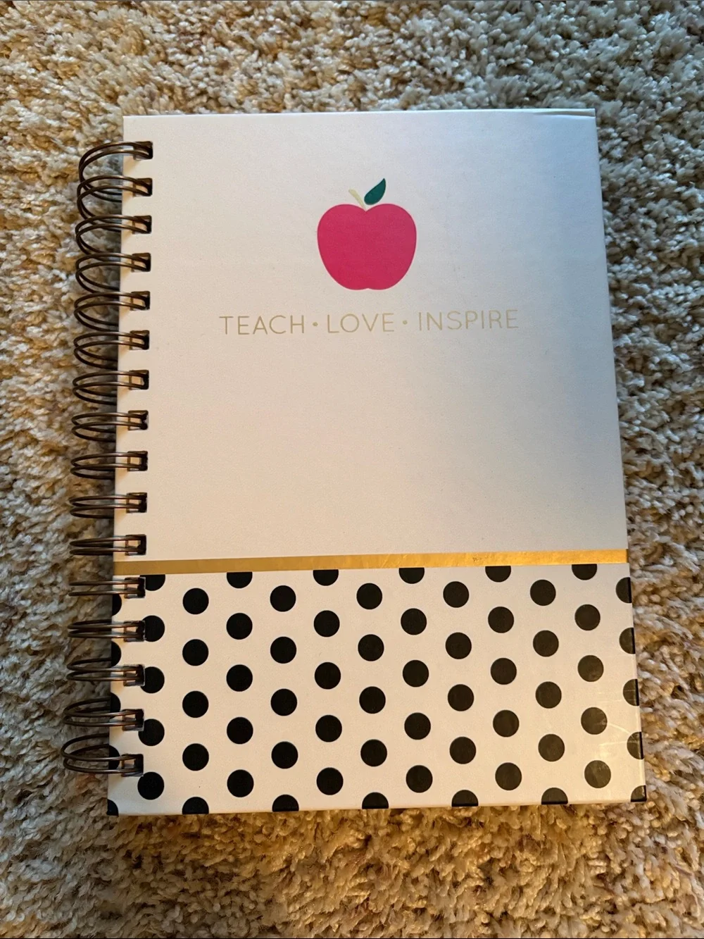 Teach • Love • Inspire Pink Apple Spiral Notebook